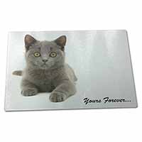 Large Glass Cutting Chopping Board Silver Blue Cat 