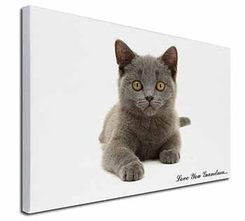 British Blue Cat 