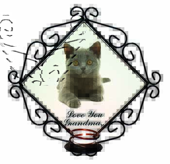 British Blue Cat 