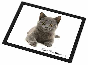 British Blue Cat 