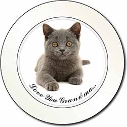 British Blue Cat 