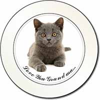 British Blue Cat 