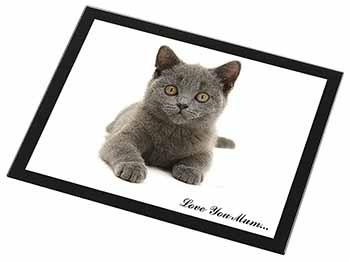 British Blue Cat 