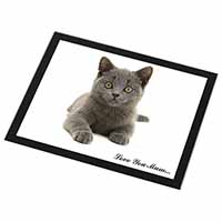 British Blue Cat 