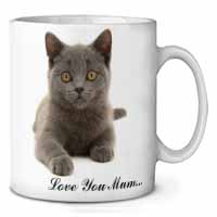 British Blue Cat 