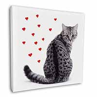 Silver Tabby Cat with Red Hearts Square Canvas 12"x12" Wall Art Picture Print