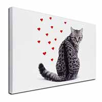 Silver Tabby Cat with Red Hearts Canvas X-Large 30"x20" Wall Art Print