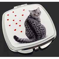 Silver Tabby Cat with Red Hearts Make-Up Compact Mirror