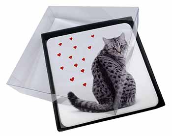 4x Silver Tabby Cat with Red Hearts Picture Table Coasters Set in Gift Box