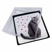 4x Silver Tabby Cat with Red Hearts Picture Table Coasters Set in Gift Box