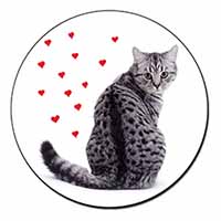 Silver Tabby Cat with Red Hearts Fridge Magnet Printed Full Colour