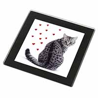 Silver Tabby Cat with Red Hearts Black Rim High Quality Glass Coaster