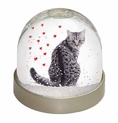 Silver Tabby Cat with Red Hearts Snow Globe Photo Waterball