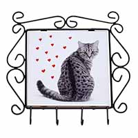 Silver Tabby Cat with Red Hearts Wrought Iron Key Holder Hooks