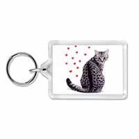 Silver Tabby Cat with Red Hearts Photo Keyring printed full colour