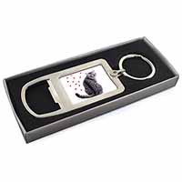 Silver Tabby Cat with Red Hearts Chrome Metal Bottle Opener Keyring in Box