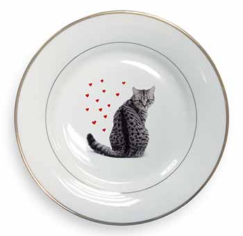 Silver Tabby Cat with Red Hearts Gold Rim Plate Printed Full Colour in Gift Box