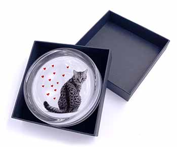 Silver Tabby Cat with Red Hearts Glass Paperweight in Gift Box