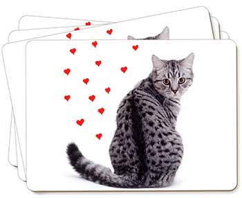 Silver Tabby Cat with Red Hearts Picture Placemats in Gift Box
