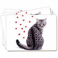 Silver Tabby Cat with Red Hearts Picture Placemats in Gift Box