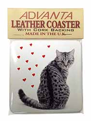 Silver Tabby Cat with Red Hearts Single Leather Photo Coaster