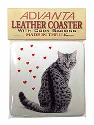 Silver Tabby Cat with Red Hearts Single Leather Photo Coaster