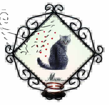 Silver Tabby Cat 