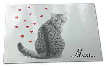 Large Glass Cutting Chopping Board Silver Tabby Cat 