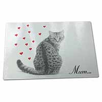 Large Glass Cutting Chopping Board Silver Tabby Cat 