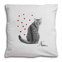 Tabby Cat 