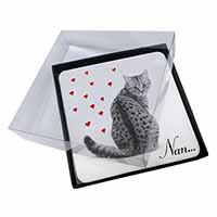 4x Tabby Cat 