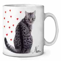 Tabby Cat 