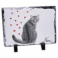 Tabby Cat 