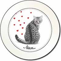 Tabby Cat 