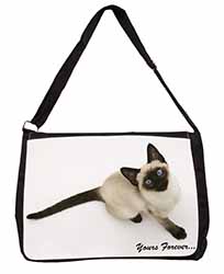 Siamese Cat 