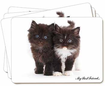 Kittens- 