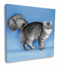 Silver Maine Coon Cat Square Canvas 12"x12" Wall Art Picture Print