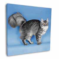 Silver Maine Coon Cat Square Canvas 12"x12" Wall Art Picture Print