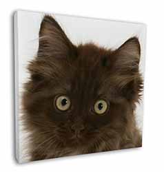 Fluffy Brown Kittens Face Square Canvas 12"x12" Wall Art Picture Print