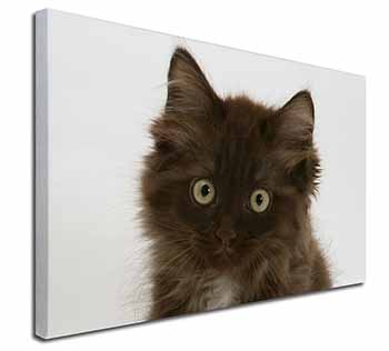 Fluffy Brown Kittens Face Canvas X-Large 30"x20" Wall Art Print