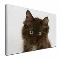 Fluffy Brown Kittens Face Canvas X-Large 30"x20" Wall Art Print