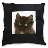 Fluffy Brown Kittens Face Black Satin Feel Scatter Cushion