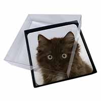 4x Fluffy Brown Kittens Face Picture Table Coasters Set in Gift Box
