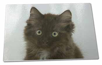 Large Glass Cutting Chopping Board Fluffy Brown Kittens Face