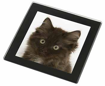 Fluffy Brown Kittens Face Black Rim High Quality Glass Coaster