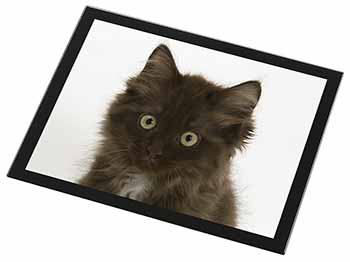 Fluffy Brown Kittens Face Black Rim High Quality Glass Placemat