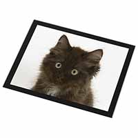 Fluffy Brown Kittens Face Black Rim High Quality Glass Placemat