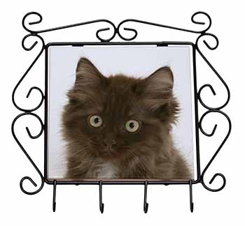 Fluffy Brown Kittens Face Wrought Iron Key Holder Hooks