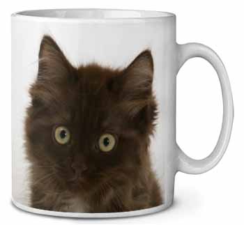 Fluffy Brown Kittens Face Ceramic 10oz Coffee Mug/Tea Cup