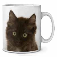 Fluffy Brown Kittens Face Ceramic 10oz Coffee Mug/Tea Cup